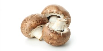 Tajemství ukryté v houbách: Jak si přírodně posílit zdraví a vitalitu