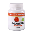 Agaricus
