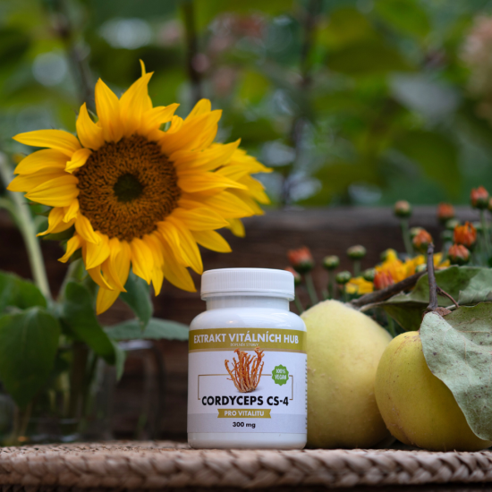 Cordyceps CS-4 - Housenice čínská 40% polysacharidů