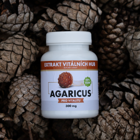 Agaricus  - Žampion mandlový min.30% polysacharidů