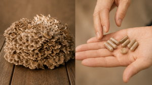 Polyporus zkušenosti: co lidé nejčastěji řeší při výběru