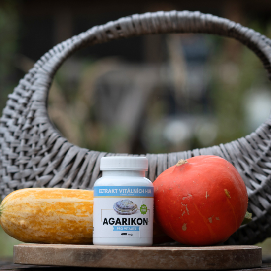 Agarikon - Verpáník lékařský (Fomitopsis officinalis) min.30% polysacharidů