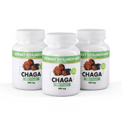 Chaga - Rezavec šikmý 360 kapslí 2 + 1 ZDARMA