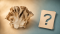 Maitake FAQ: nejčastější otázky a odpovědi