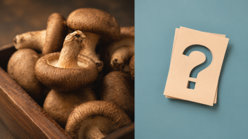 Co je shiitake a proč se o tuto houbu zajímat
