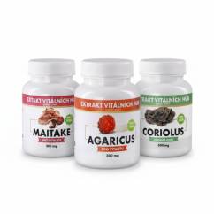 Buněčná ochrana a podpora přirozené imunity - Agaricus + Maitake + Coriolus 2+1 ZDARMA
