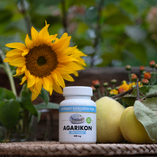 Agarikon - Verpáník lékařský (Fomitopsis officinalis) min.30% polysacharidů