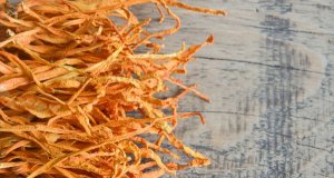Kdy užívat cordyceps: praktický průvodce