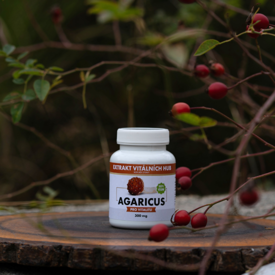 Agaricus  - Žampion mandlový min.30% polysacharidů