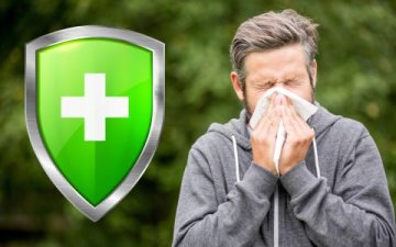 Obrana těla na maximum: Proč právě teď vsadit na léčivé houby a nečekat ...?