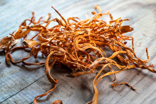 Cordyceps CS-4: co toto označení znamená
