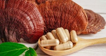 Reishi pro imunitu