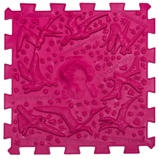 Masážní podložka Puzzle Dinosauři 12 prvků