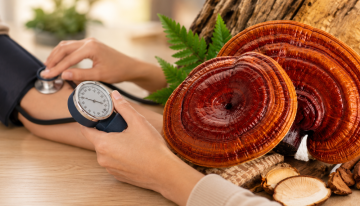 Reishi a krevní tlak: co vědět před užíváním