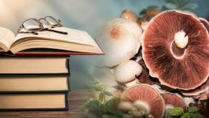 Agaricus studie: co říká výzkum a jak mu rozumět