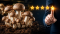 Agaricus recenze: jak číst zkušenosti a vybrat kvalitní doplněk