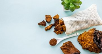 Chaga extrakt