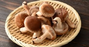 Kdy užívat shiitake