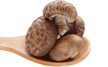 Výhody užívání léčivé houby Shiitake