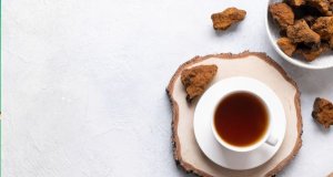 Chaga FAQ