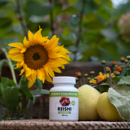 Reishi - Leskokorka lesklá min.30% polysacharidů a 4% triterpenů