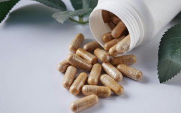 Statiny bez vedlejších účinků? Léčivé houby ukazují cestu, jak přírodně snížit cholesterol