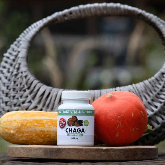 Chaga 50% - Rezavec šikmý  min.50% polysacharidů a 20% Beta glukanů