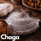 Chaga zkušenosti