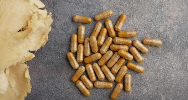 Jak poznat kvalitní extrakt z medicinálních hub