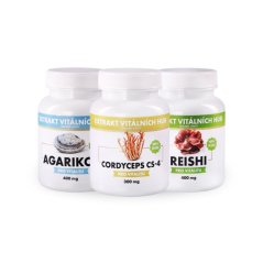 Dýchací cesty a podpora při virózách - Agarikon + Reishi + Cordyceps 2+1 ZDARMA