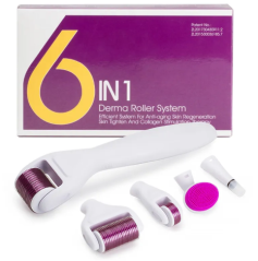 Derma roller pro mikrojehličkování 6 v 1 na obličej a tělo