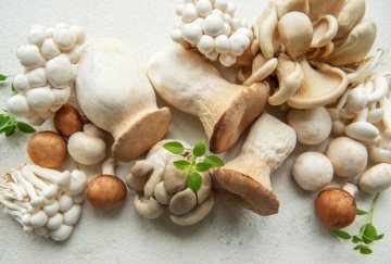 Houby proti cukrovce? Vědci odhalili přirozené spojence v boji s inzulínovou rezistencí
