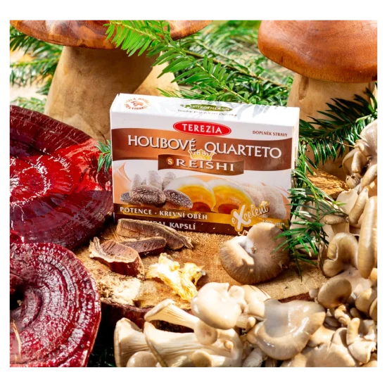 Houbové Quarteto s reishi cps.60