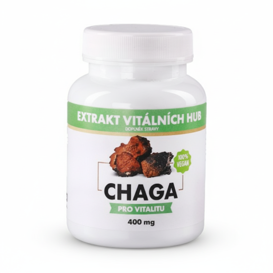 Chaga - Rezavec šikmý min.30% polysacharidů a 4% triterpenů