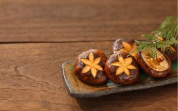 Shiitake – houba dlouhověkosti pro imunitu, cévy a vitalitu