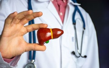 Jak podpořit zdraví jater a urychlit jejich regeneraci?