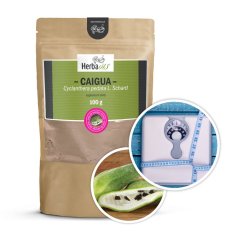 Caigua (Cyclanthera pedata L. Schard) prášek 250 g