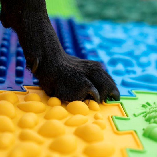Smyslová masážní podložka pro psy Puzzle Mix 20 modulů pro fyzioterapii psů