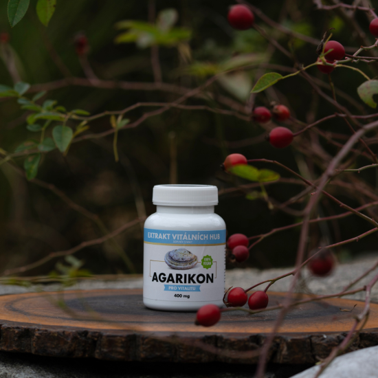 Agarikon - Verpáník lékařský (Fomitopsis officinalis) min.30% polysacharidů