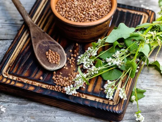 BIO Ostropestřecová pasta s pohankou a Levandulí Chodouňskou Rodinné balení, 250g