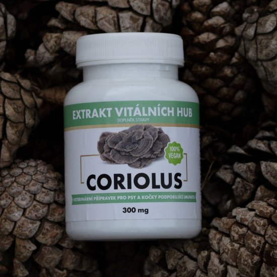 Coriolus - Outkovka pestrá (Coriolus versicolor) min.50% polysacharidů