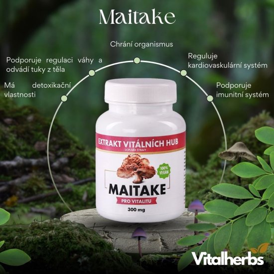 Maitake - Trsnatec lupenitý min.30% polysacharidů