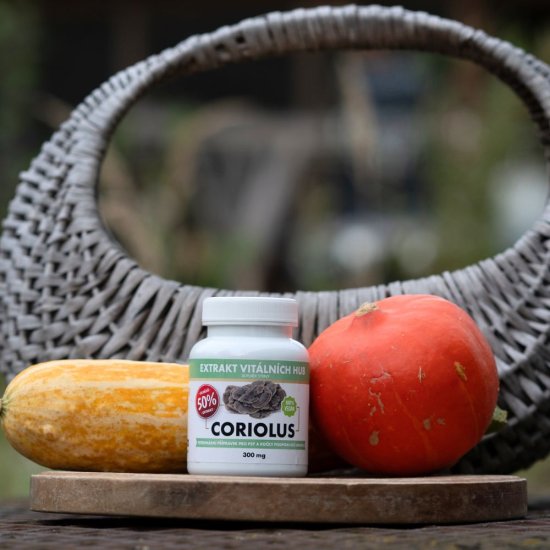 Coriolus 50 % - Outkovka pestrá min.50% polysacharidů a 20% β-1,3/1,6 D-glukanů