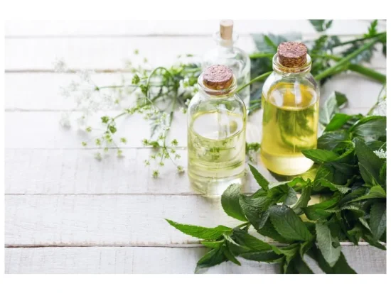 BIO Mátový extrakt pro poruchy trávení a Mikrobiomu