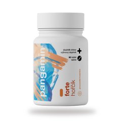 Pangamin® forte hořčík tbl.90