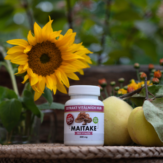 Maitake 50% - Trsnatec lupenitý (Grifola frondosa)  min.50% polysacharidů a 20% Beta glukanů