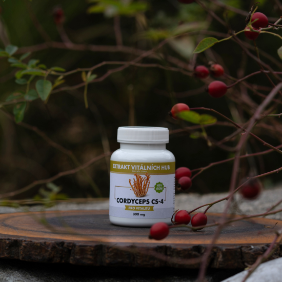 Cordyceps CS-4 - Housenice čínská 40% polysacharidů