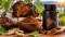 Chaga extrakt 40 % beta-glukanů: co znamená standardizace