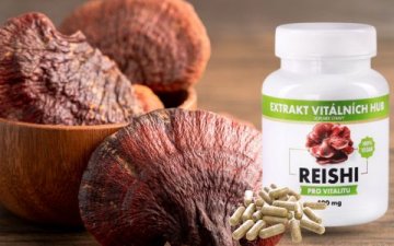Houba Reishi: Klíč k dlouhověkosti a zdravé pokožce