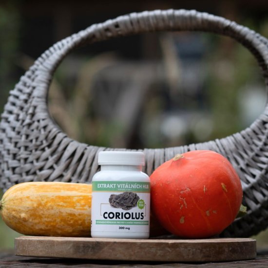 Coriolus - Outkovka pestrá (Coriolus versicolor) min.50% polysacharidů
